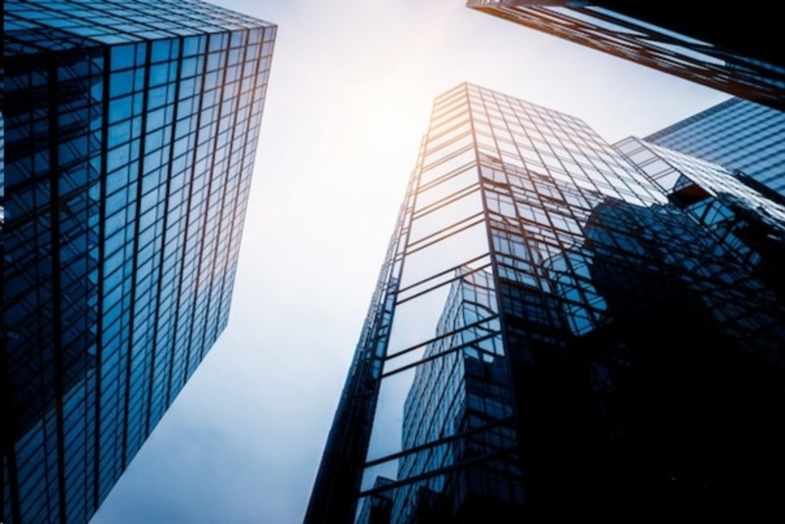 Business Genesis Assistance